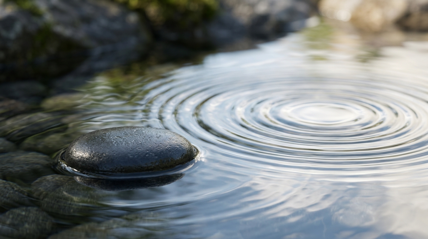 Macro close-up of calm water ripples over smooth dark stone in serene zen atmosphere